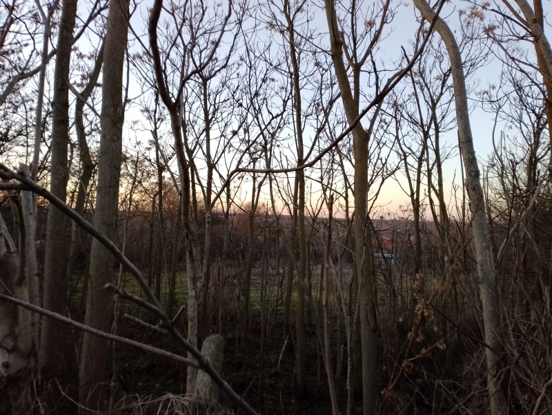 À vendre  Parcelle région Varna , Tcherventsi , 2000 m² | 63379258 - image [3]
