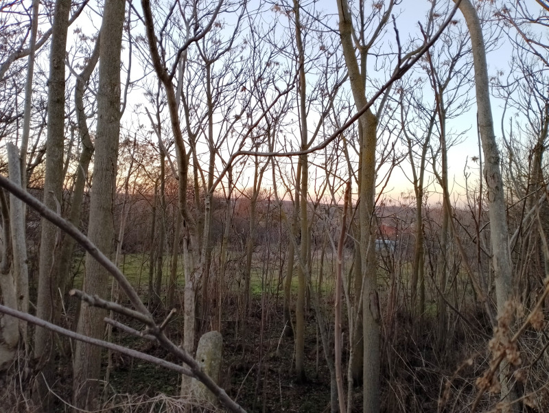 À vendre  Parcelle région Varna , Tcherventsi , 2000 m² | 63379258 - image [9]