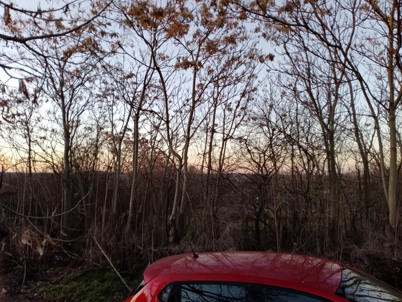 À vendre  Parcelle région Varna , Tcherventsi , 2000 m² | 63379258 - image [2]