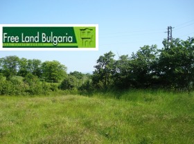 ����� ������� ���������� ����,�. �������, ������ ������