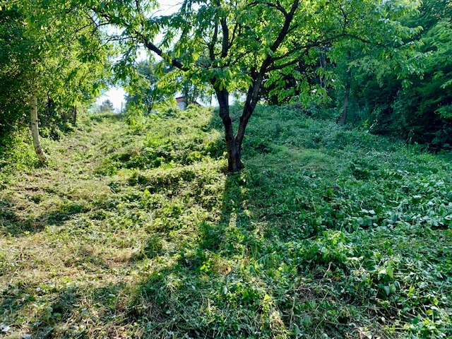 Til salg  Grund Sofia , Kokalyane , 593 kvm | 57067550 - billede [3]