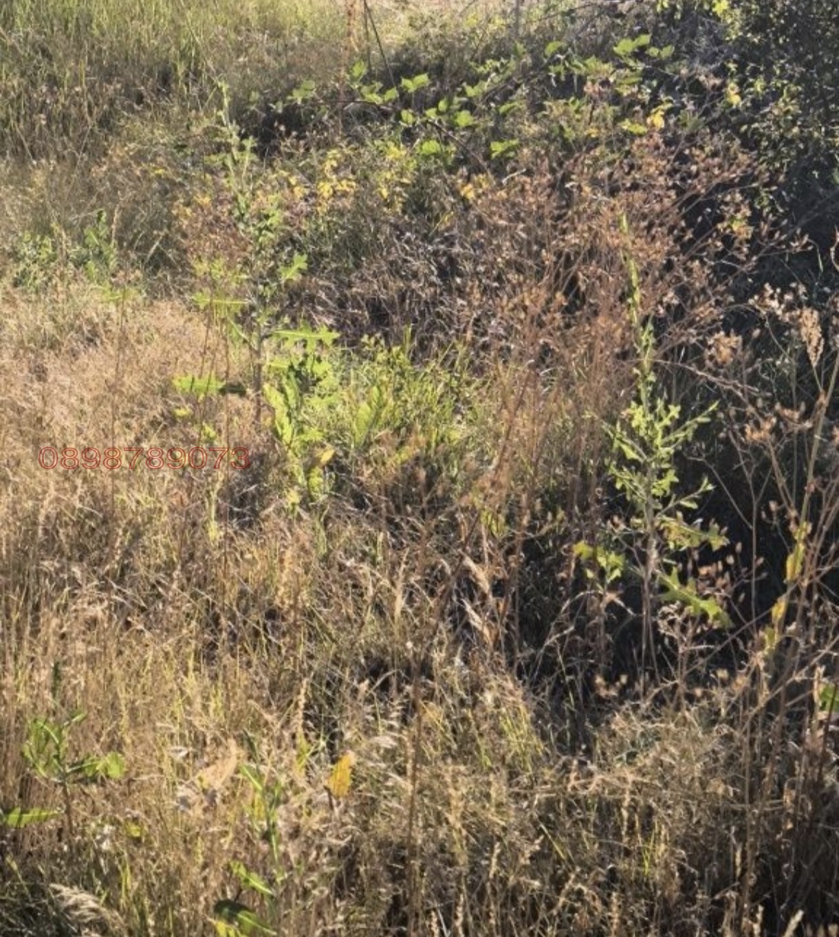 Продава ПАРЦЕЛ, с. Караполци, област София област