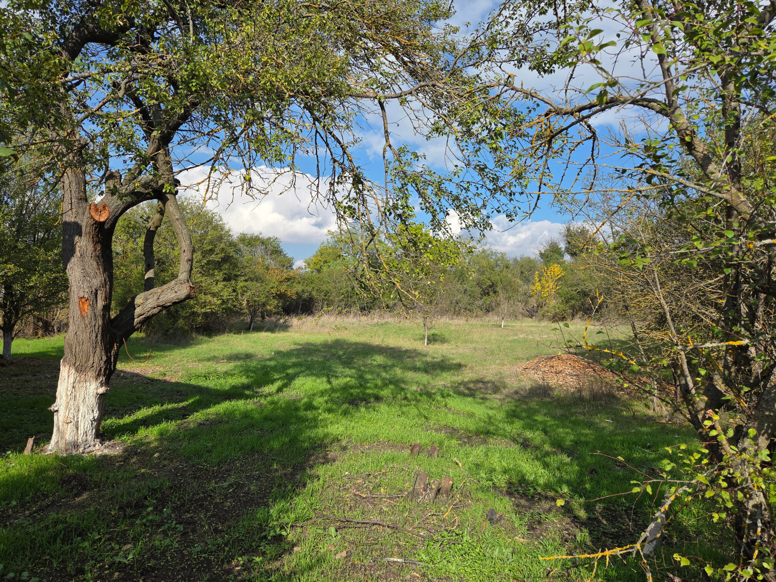 ������� ���� | Imot.bg � ����������� 5