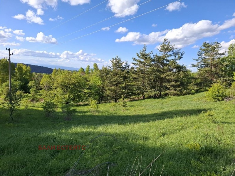 Myytävänä  Juoni Sofia , Železnitsa , 1726 neliömetriä | 47924862 - kuva [4]