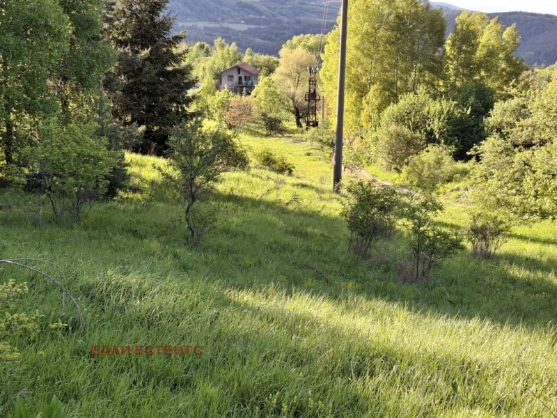 Myytävänä  Juoni Sofia , Železnitsa , 1726 neliömetriä | 47924862 - kuva [6]