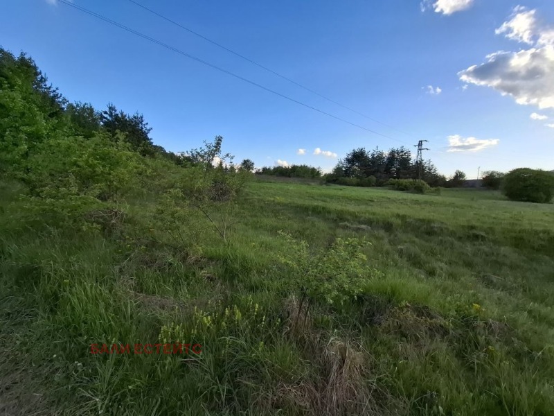 Myytävänä  Juoni Sofia , Železnitsa , 1726 neliömetriä | 47924862 - kuva [3]