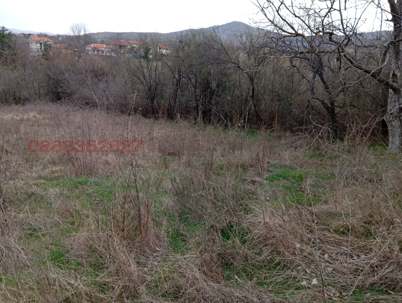 Продава  Парцел област Стара Загора , с. Сладък кладенец , 891 кв.м | 37566567 - изображение [2]