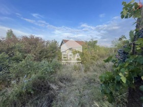 House Nikolovo, region Ruse 5