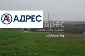 ����� ������� ������,�. �������, ������ �����