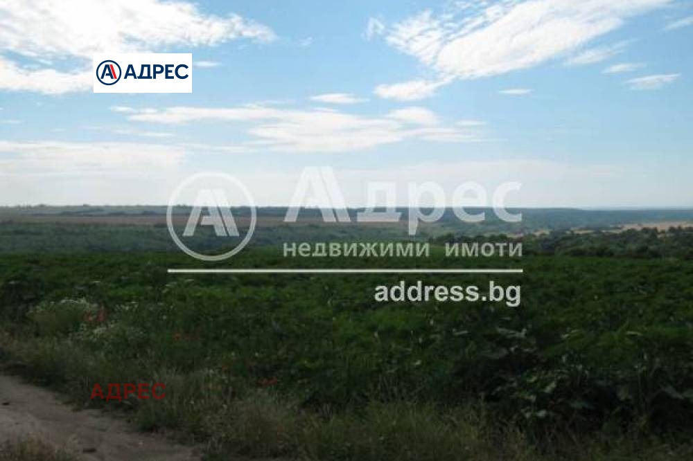 Продава ПАРЦЕЛ, с. Болярци, област Варна, снимка 2 - Парцели - 53946781