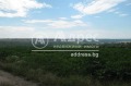 Продава ПАРЦЕЛ, област Варна, с. Болярци • 110000 € / 215141.30 лв. • 61947868 2