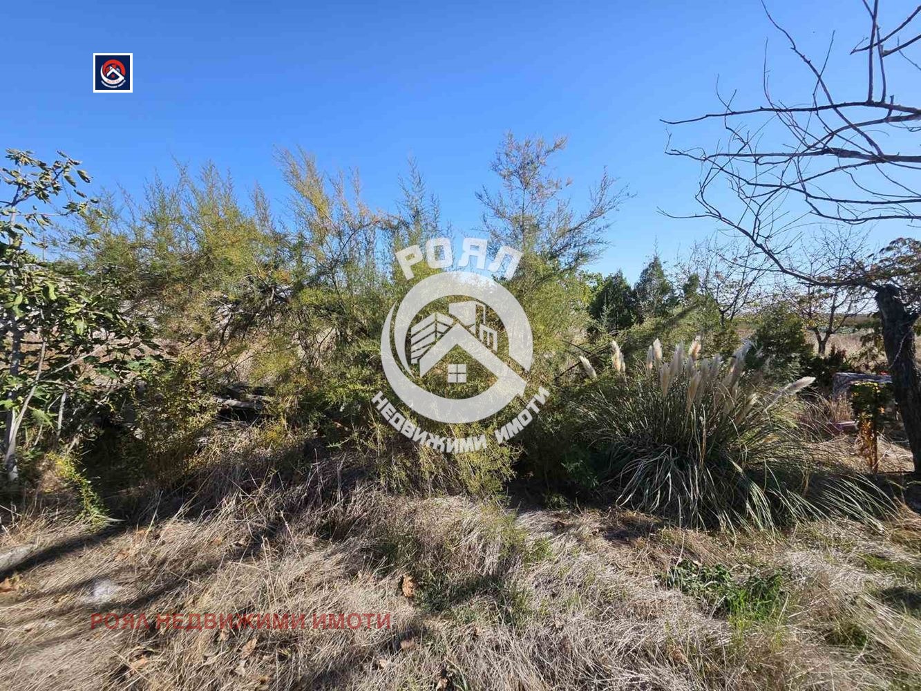 ������� ������ | Imot.bg � ����������� 5