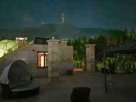 ����� ������� �������,���� �����, �����