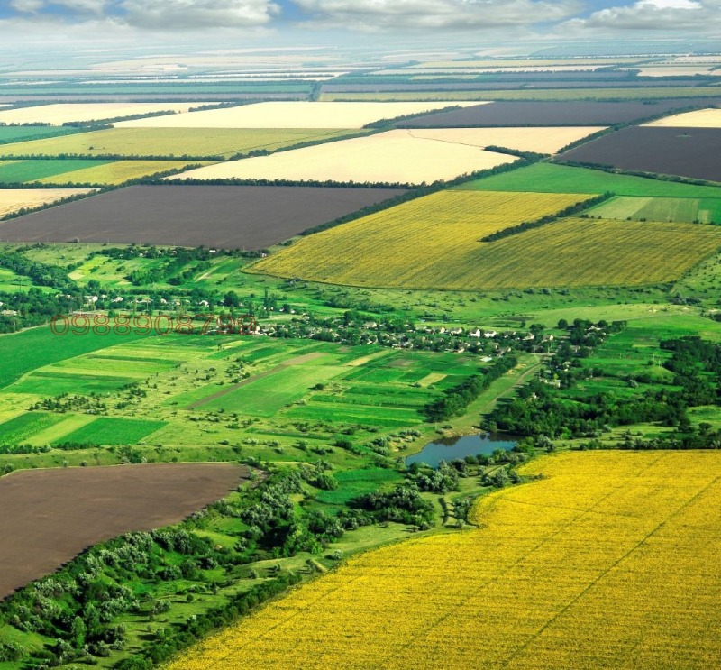 Продава ЗЕМЕДЕЛСКА ЗЕМЯ, с. Дединци, област Велико Търново