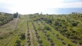 Продава ПАРЦЕЛ, Извън страната, област Извън страната, снимка 17
