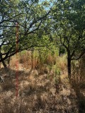 Продава КЪЩА, област Ловеч, с. Славяни • 20000 лв. • 62724151 — Holmes.bg