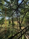 Продава КЪЩА, област Ловеч, с. Славяни • 20000 лв. • 62724151 — Holmes.bg