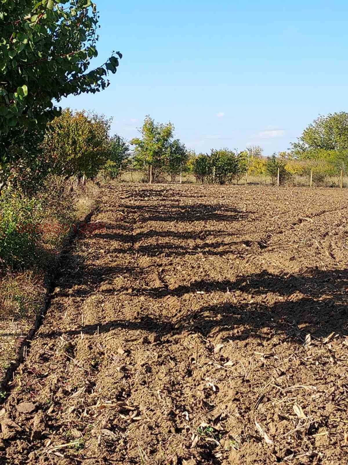 ������� ������ | Imot.bg � ����������� 5