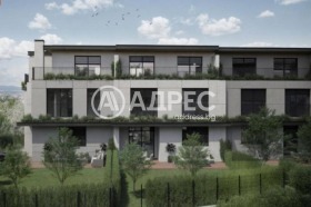 ����� ������� ����,���� �����, ����������