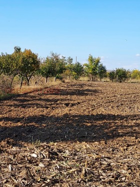 ������� ������ | Imot.bg � ����� ������ 4