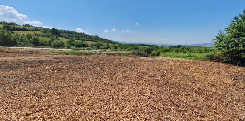 Till salu  Komplott region Pernik , Kladnica , 1694 kvm | 31215791 - bild [8]
