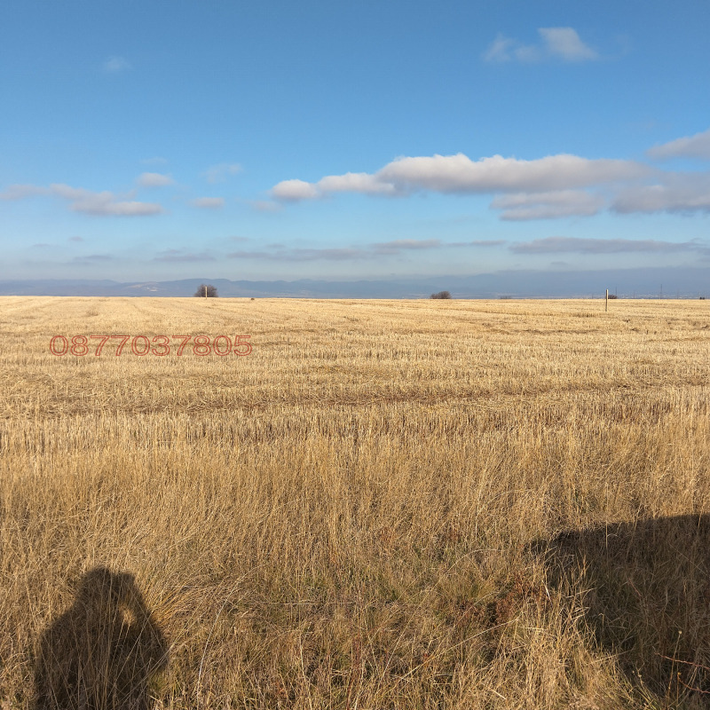 Продава ПАРЦЕЛ, гр. София, гр. Банкя, снимка 5 - Парцели - 52840021