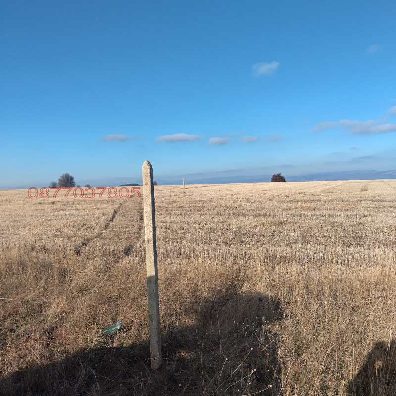 Продава ПАРЦЕЛ, гр. София, гр. Банкя, снимка 4 - Парцели - 52840021