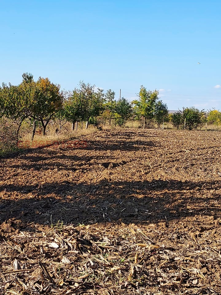 Продава ПАРЦЕЛ, с. Иново, област Видин, снимка 4 - Парцели - 53928398