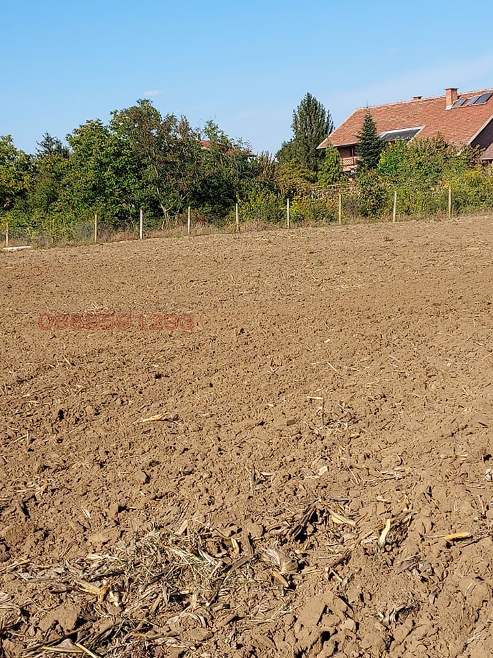 Продава ПАРЦЕЛ, с. Иново, област Видин, снимка 6 - Парцели - 53928398