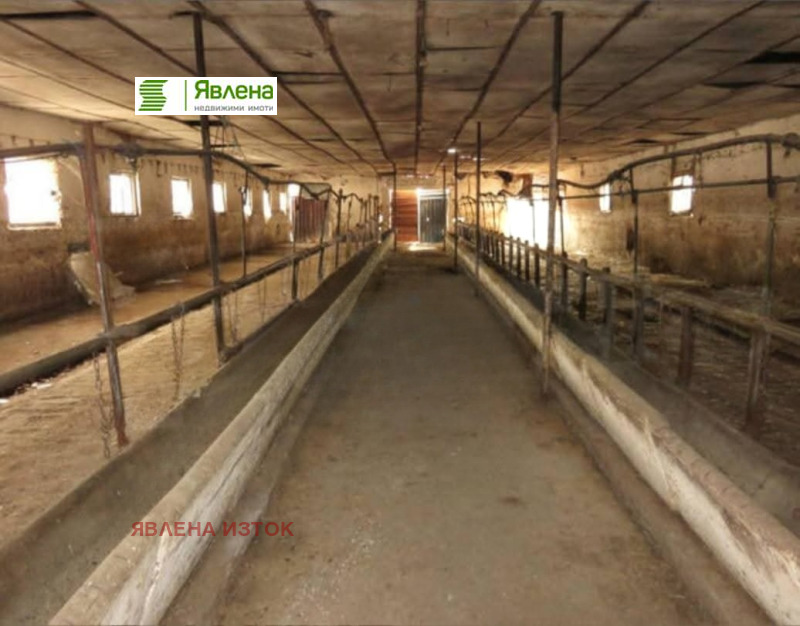 Продава БИЗНЕС ИМОТ, гр. Пазарджик, Запад, снимка 7 - Други - 52276579