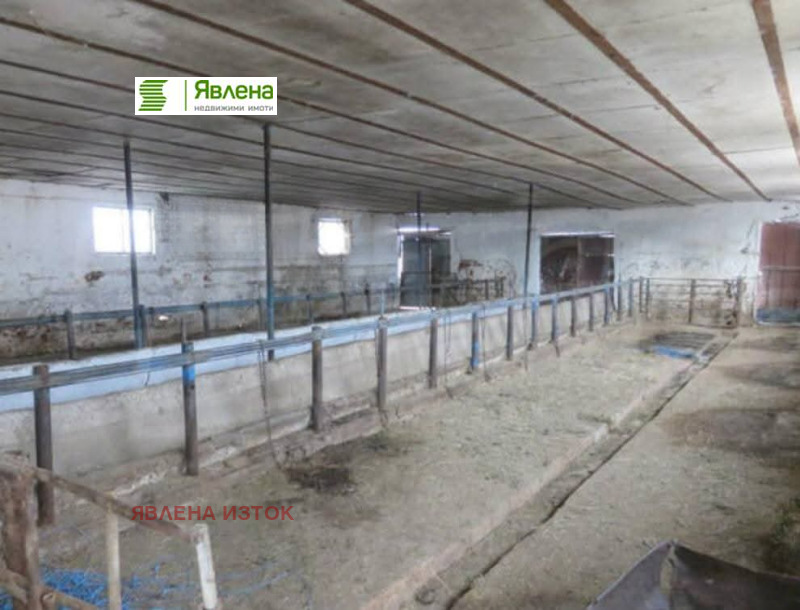 Продава БИЗНЕС ИМОТ, гр. Пазарджик, Запад, снимка 4 - Други - 52276579