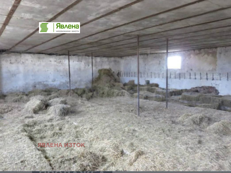 Продава БИЗНЕС ИМОТ, гр. Пазарджик, Запад, снимка 5 - Други - 52276579