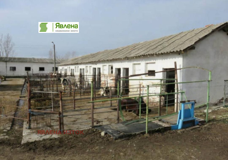 Продава БИЗНЕС ИМОТ, гр. Пазарджик, Запад, снимка 8 - Други - 52276579