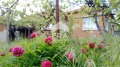 Продава КЪЩА, област Бургас, с. Подвис • 32000 € • 32328218 — Holmes.bg