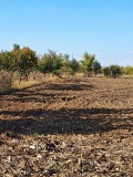 Продава ПАРЦЕЛ, област Видин, с. Иново • 55000 € / 107570.65 лв. • 52301429 4