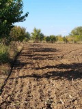 Продава ПАРЦЕЛ, област Видин, с. Иново • 55000 € / 107570.65 лв. • 52301429 5