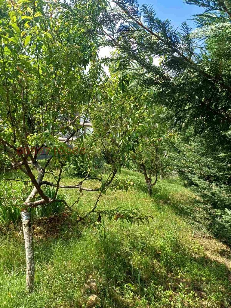 De vânzare  Casa Blagoevgrad , Osvobojdenie , 300 mp | 78584291 - imagine [7]