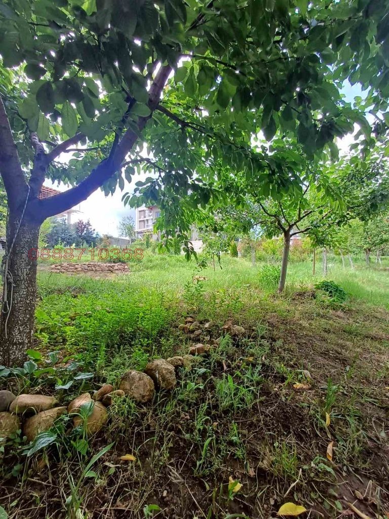 De vânzare  Casa Blagoevgrad , Osvobojdenie , 300 mp | 78584291 - imagine [5]