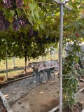 Продава КЪЩА, гр. Русе, Средна кула, снимка 12