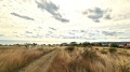 Продава ПАРЦЕЛ, гр. Бяла, област Варна, снимка 1
