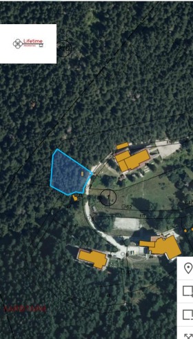 ������ ������� ������