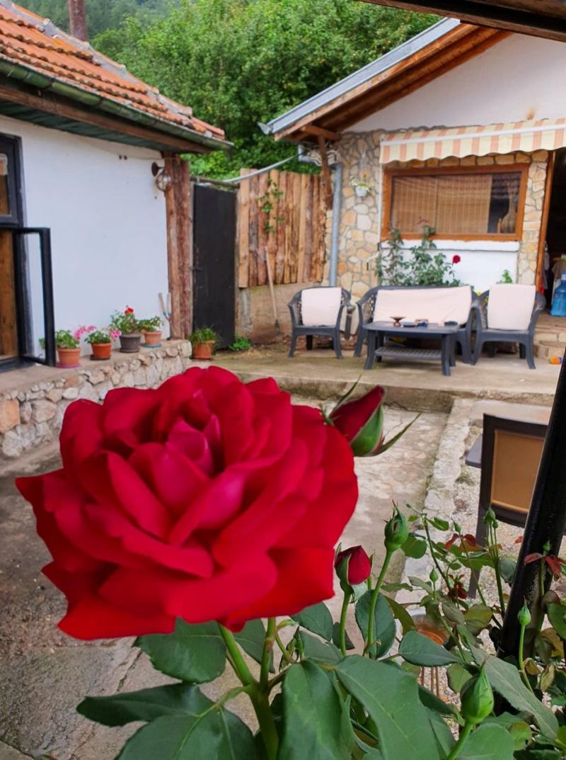 Na prodej  Dům oblast Pernik , Ezdimirci , 130 m2 | 99960439 - obraz [11]