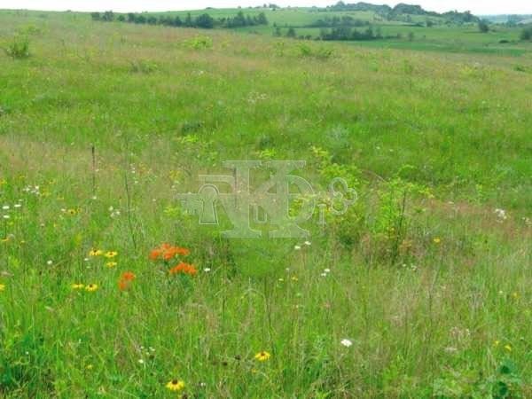 Na prodej  Spiknutí Varna , k.k. Sv.Sv. Konstantin i Elena , 460 m2 | 34114844