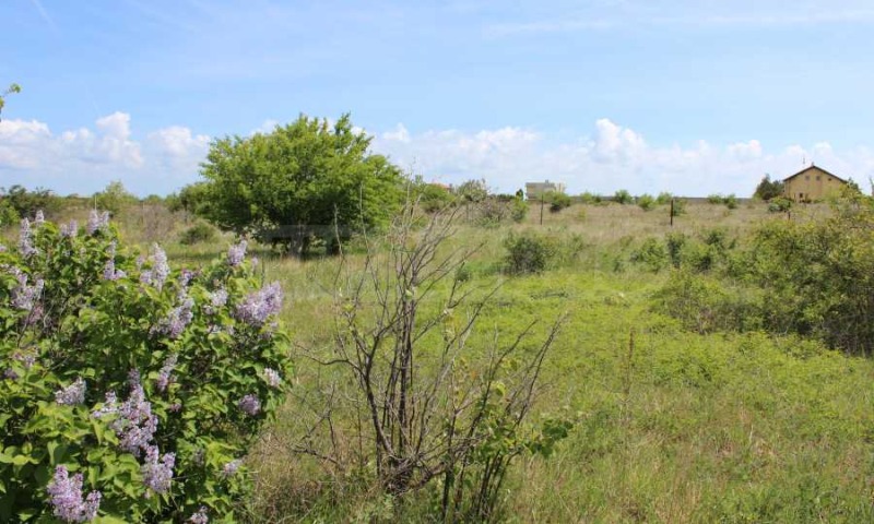 Продава ПАРЦЕЛ, с. Топола, област Добрич, снимка 3 - Парцели - 52477619