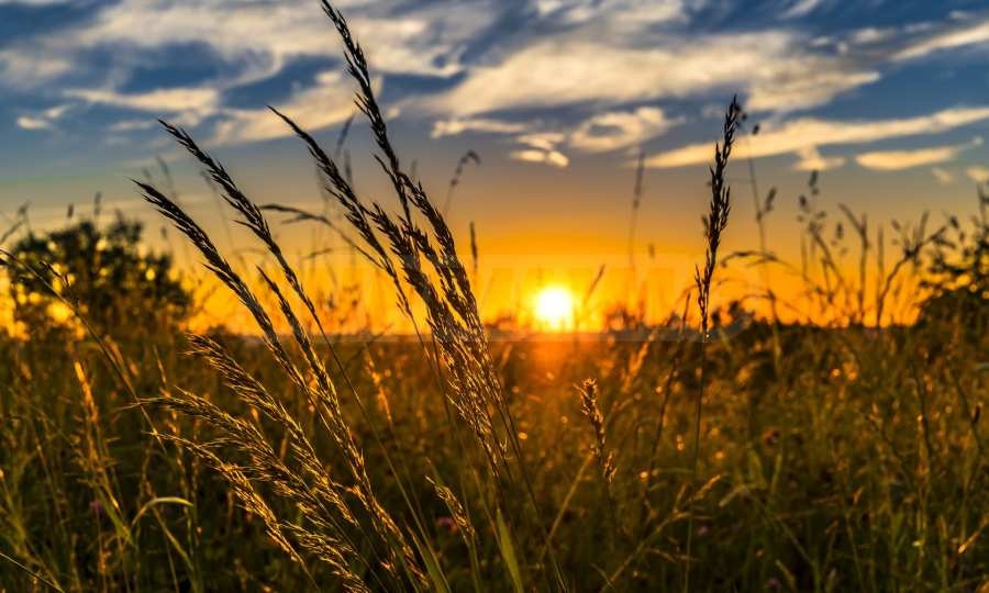 Продава ПАРЦЕЛ, с. Баня, област Бургас