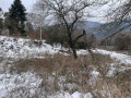 Продава КЪЩА, област София, с. Луково • 65000 € • 19125566 — Holmes.bg