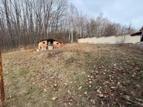 Hus Iztok, Pernik 6