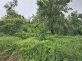 Продава ПАРЦЕЛ, област Велико Търново, с. Къпиново • 26000 € • 87876263 — Holmes.bg