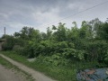 Продава ПАРЦЕЛ, област Велико Търново, с. Къпиново • 26000 € • 87876263 — Holmes.bg