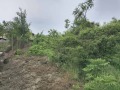 Продава ПАРЦЕЛ, област Велико Търново, с. Къпиново • 26000 € • 87876263 — Holmes.bg